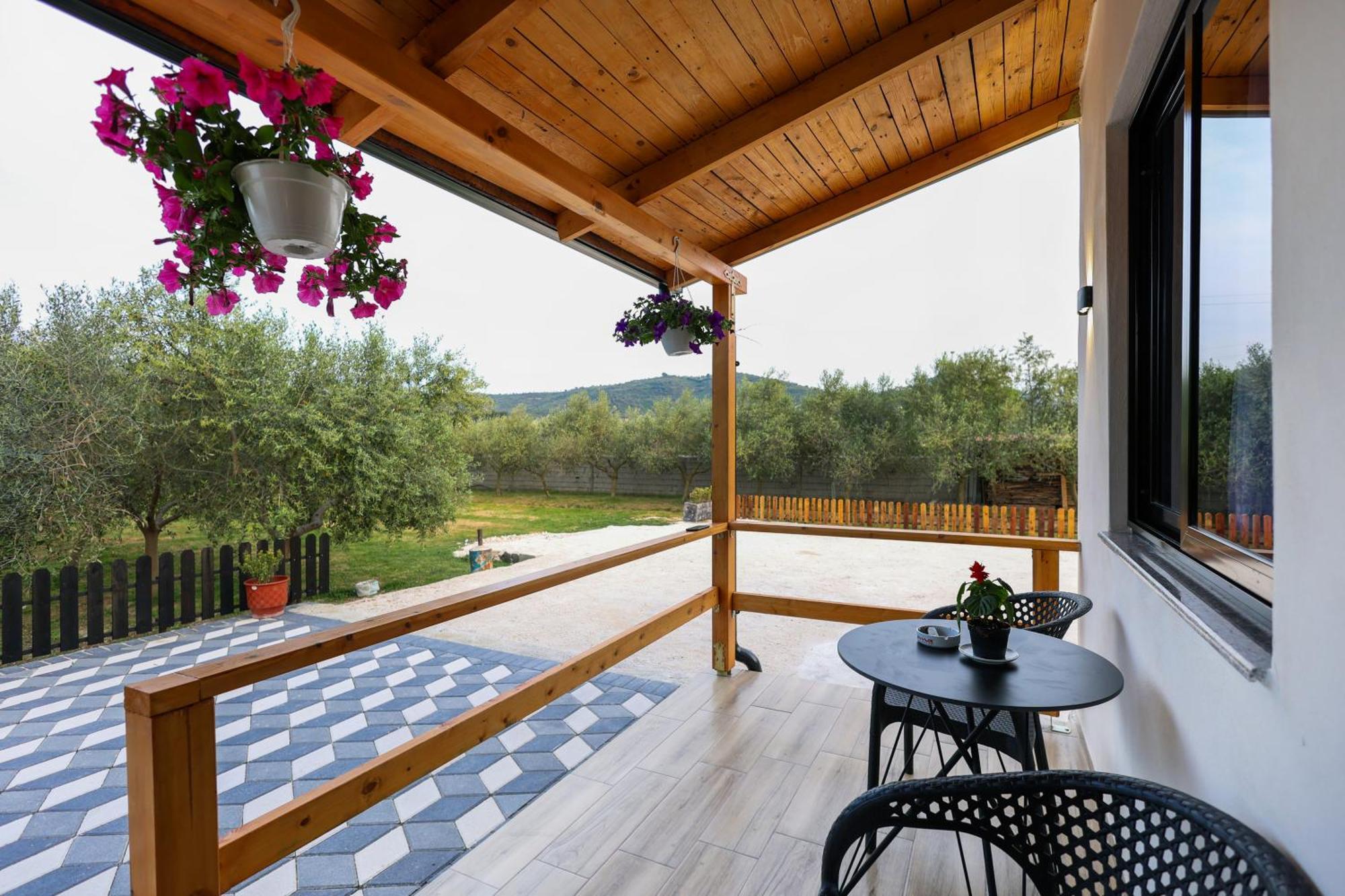 Olive Oasis Studio Berat Eksteriør bilde